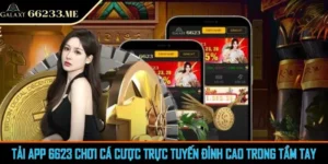 Tải App 6623 Chơi Cá Cược Trực Tuyến Đỉnh Cao Trong Tầm Tay